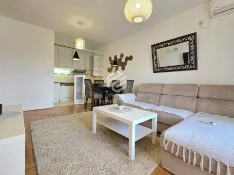 Izdavanje, jednosoban stan, 45m², Stari Aerodrom, Podgorica - image 4