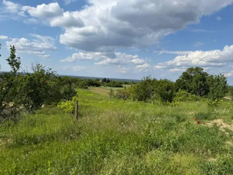Prodaja, plac, 776m², Petrovaradin, Novi Sad - image 2