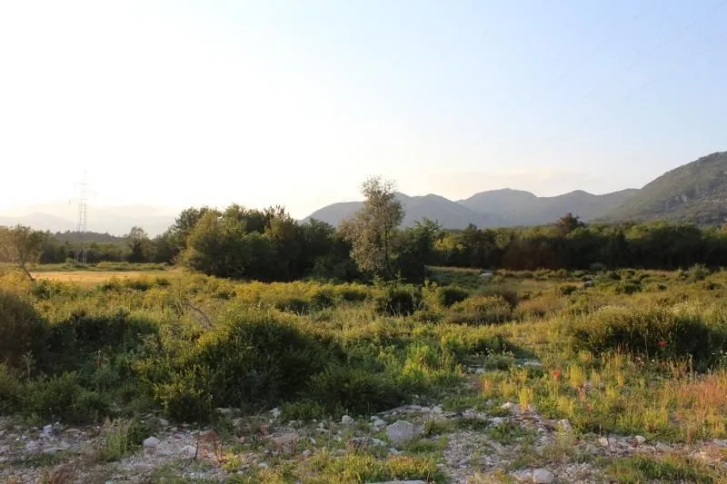 Prodaja, plac, 7200m², Kavač, Kotor