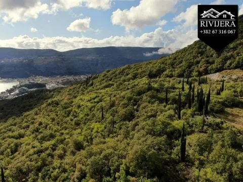 Prodaja, plac, 3849m², Trebesinj, Herceg Novi - image 4
