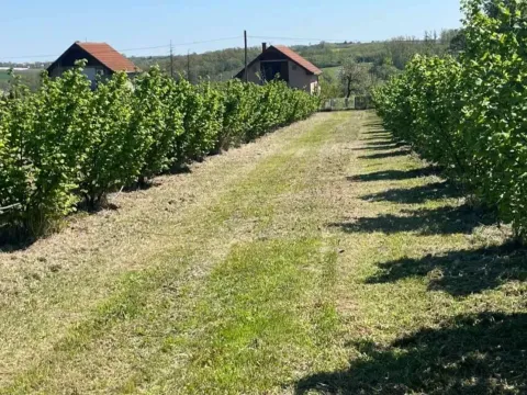 Prodaja, plac, 5000m², Vladimirci, Srbija - image 2
