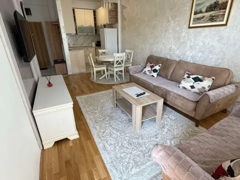 Izdavanje, jednosoban stan, 47m², Zagorič, Podgorica - image 7