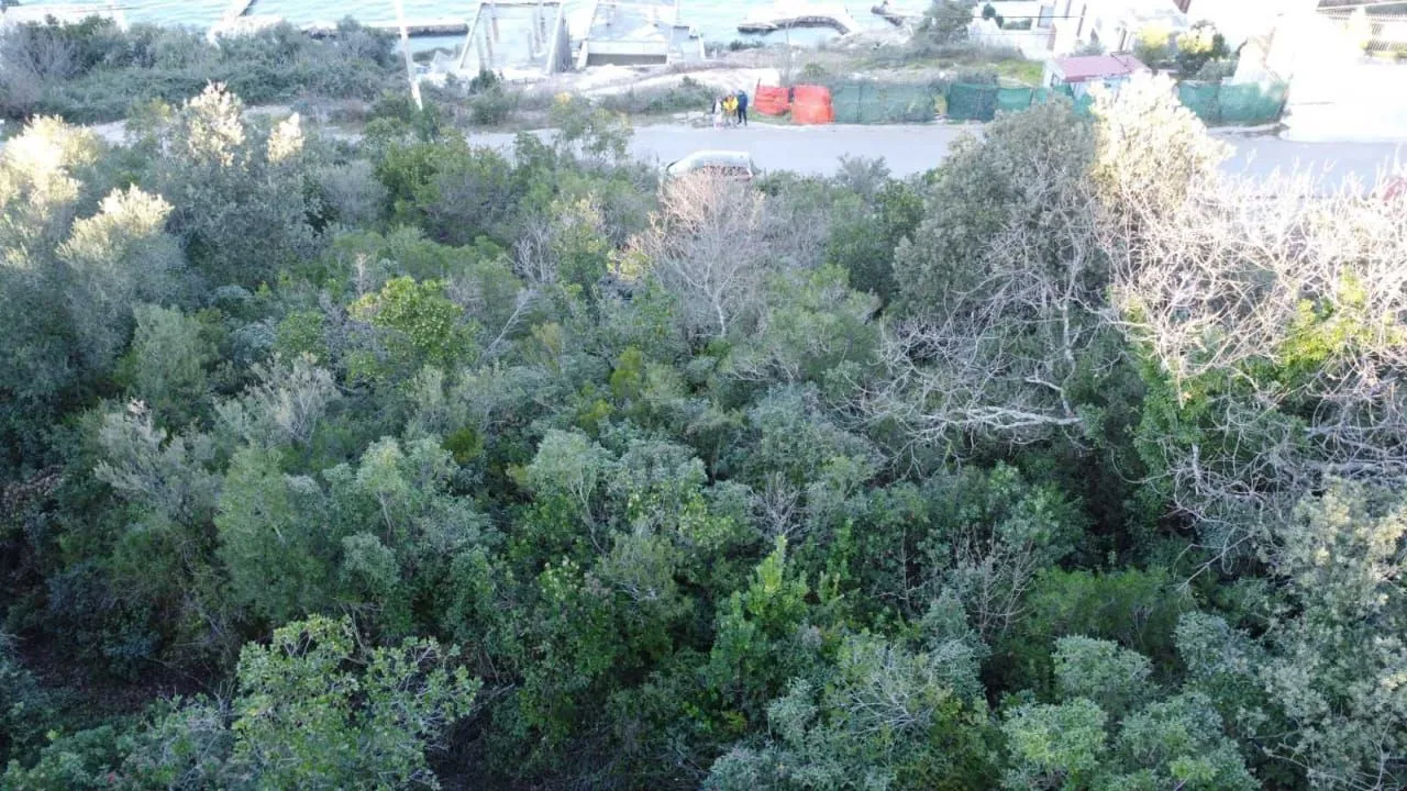 Prodaja, plac, 2300m², Tivat, Crna Gora