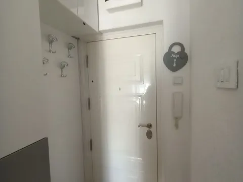 Izdavanje, garsonjera, 20m², Centar, Podgorica - image 4