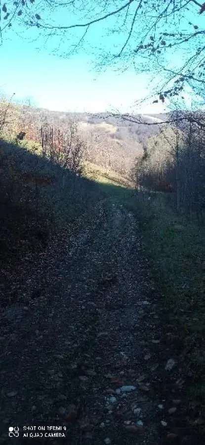 Prodaja, plac, 99100m², Donja Bukovica, Šavnik
