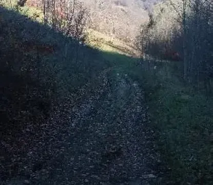 Sale, land lot, 99100m², Donja Bukovica, Šavnik - image 10