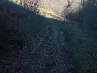 Sale, land lot, 99100m², Donja Bukovica, Šavnik - image 10