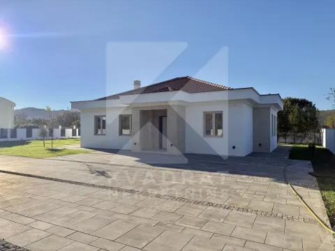 View of the front facade of a single-story house with a landscaped yard and paved driveway. - image 15