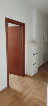 Prodaja, jednosoban stan, 53m², Detelinara, Novi Sad Sve Podlokacije - image 10