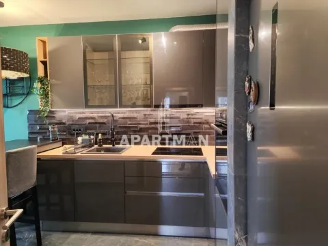 Stan-na-dan, dvosoban stan, 53m², Južni Bulevar, Vračar Sve Podlokacije - image 5