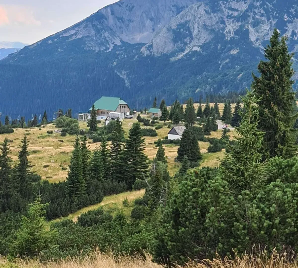 Prodaja, plac, 40000m², Žabljak, Crna Gora