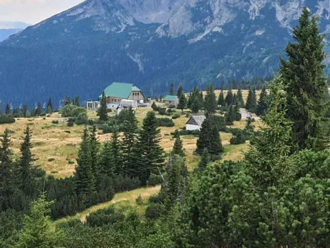 Sale, land lot, 40000m², Žabljak, Crna Gora - image 3