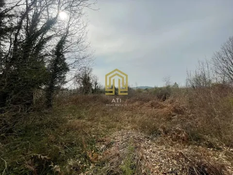 Pogled na zemljište sa rastinjem i drvećem. - image 2