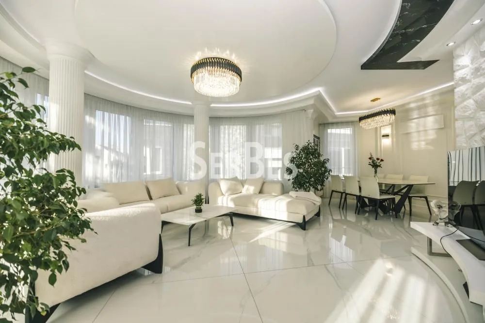 Izdavanje, stan, 360m², Socijalno, Novi Sad Sve Podlokacije