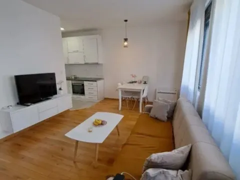 Rent, one bedroom apartment, 45m², Blok 6, Podgorica - image 1