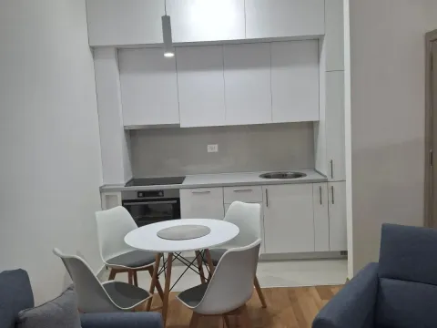 Rent, four bedroom apartment, 40m², Zabjelo, Podgorica - image 1