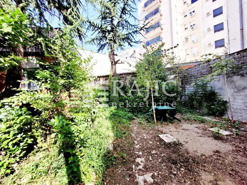 Greenery in the courtyard of a residential building.