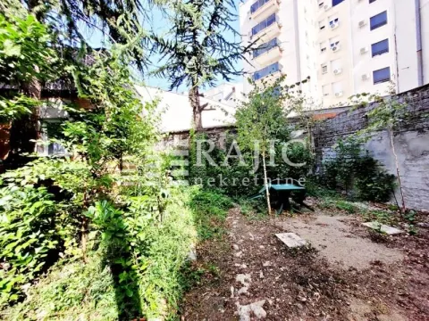 Greenery in the courtyard of a residential building. - image 17