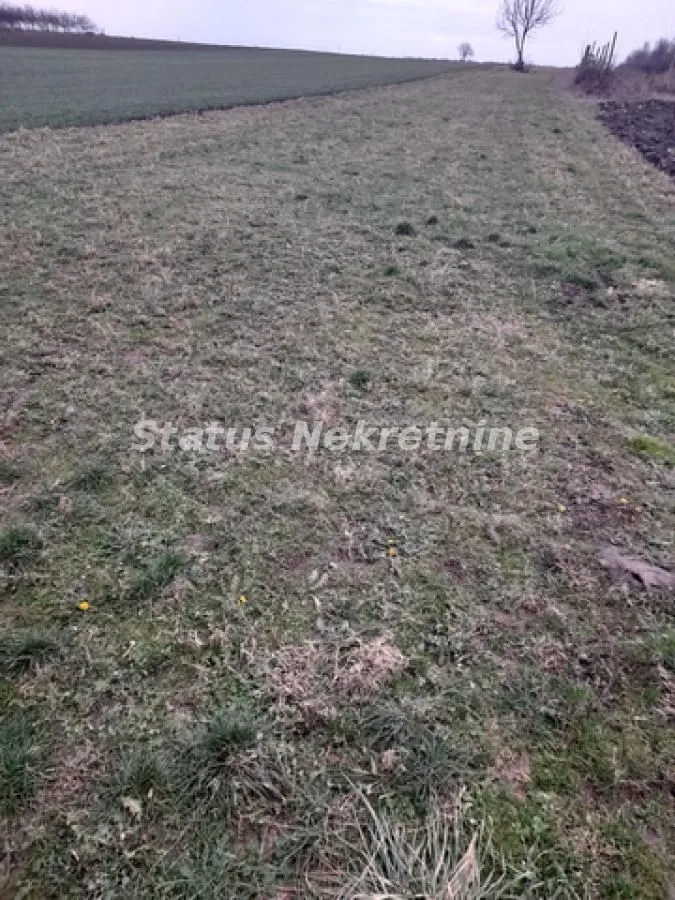 Prodaja, plac, 3300m², Futog, Novi Sad Sve Podlokacije