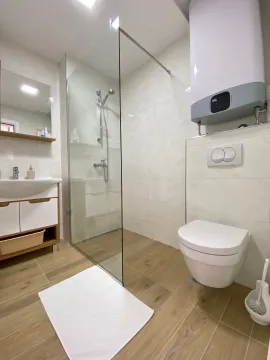 Modernly equipped bathroom with a walk-in shower, washbasin, and toilet. - image 4
