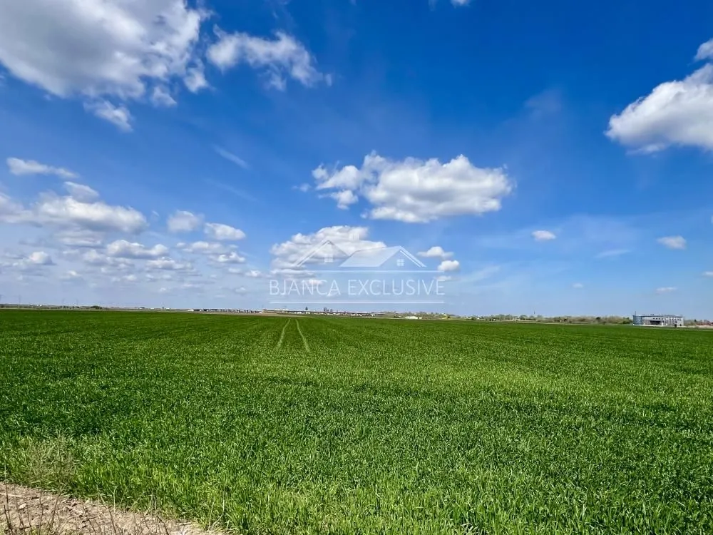 Prodaja, plac, 50000m², Batajnica, Beograd