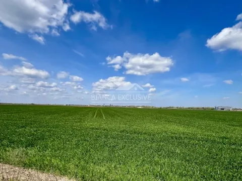 Prodaja, plac, 50000m², Batajnica, Beograd - image 2