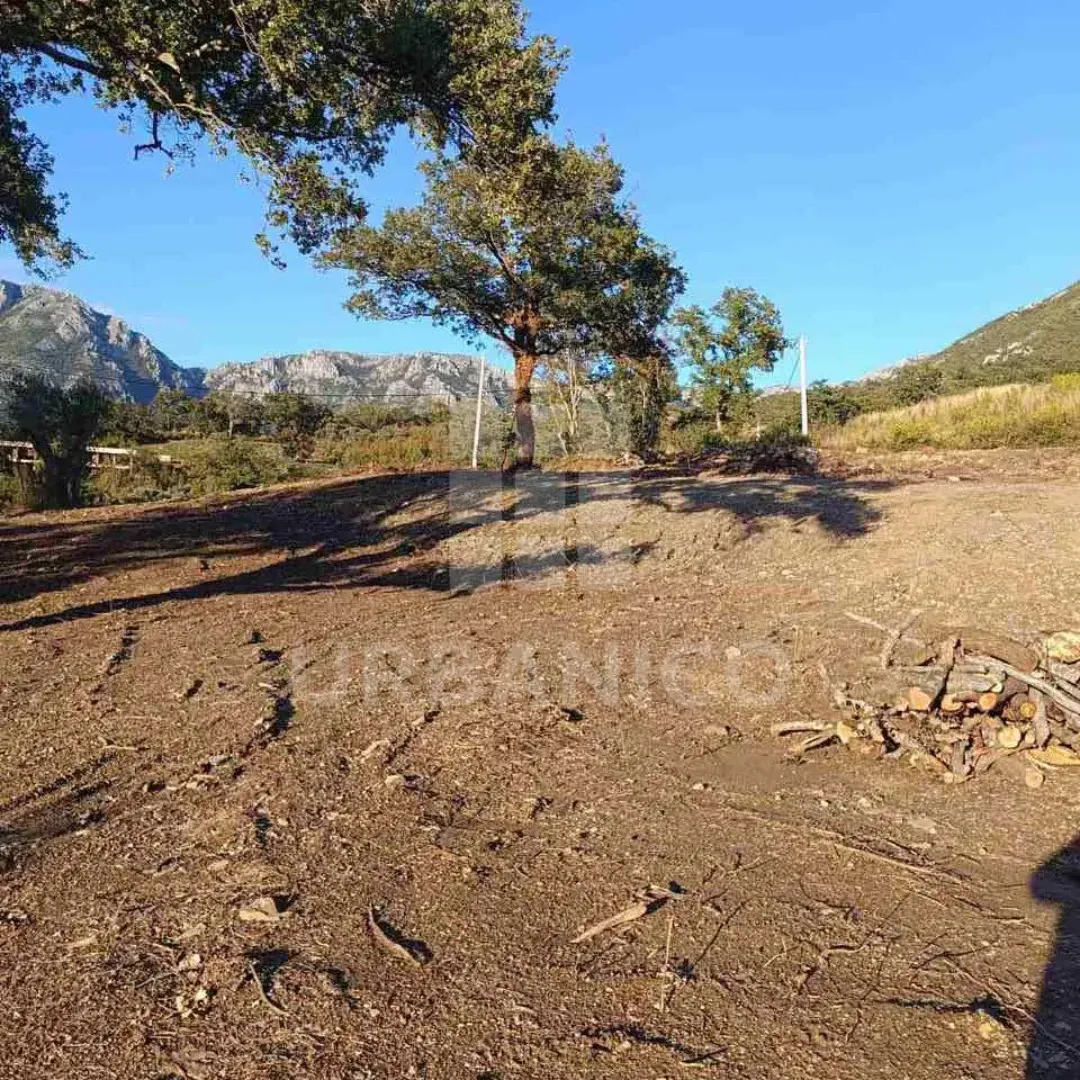 Prodaja, plac, 4800m², Bjeliši, Bar