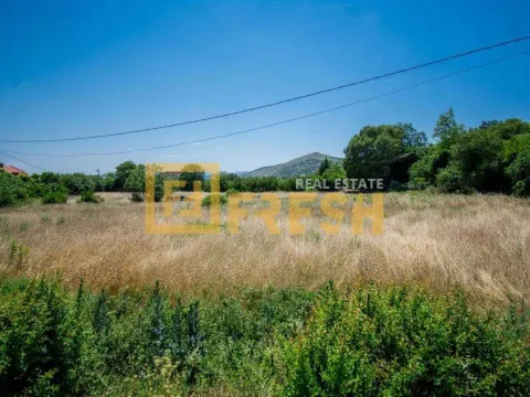 Sale, land lot, 1400m², Farmaci, Podgorica - image 6