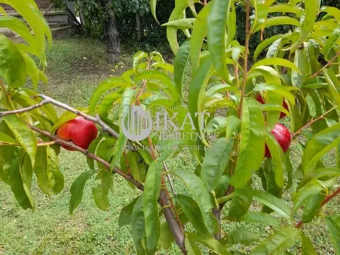 Prodaja, kuća, 160m², Sopot, Beograd - image 13