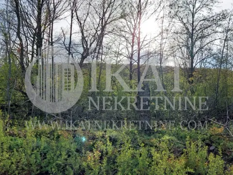 Sale, land lot, 55000m², Kosmaj, Sopot - image 8