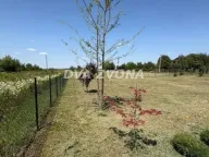 Sale, house, 82m², Krčedin, Inđija - image 2