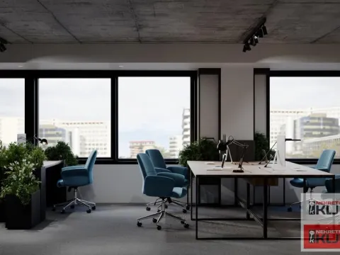 Izdavanje, poslovni prostor, 279m², Bulevar Oslobodjenja, Novi Sad Sve Podlokacije - image 3