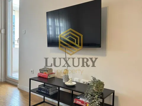 Rent, one bedroom apartment, 50m², Central Point, Podgorica - image 9