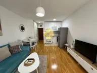 Izdavanje, garsonjera, 33m², Tuški Put, Podgorica - image 10