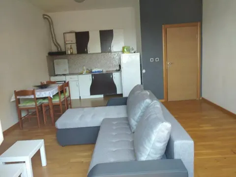Rent, one bedroom apartment, 55m², Budva, Crna Gora - image 3