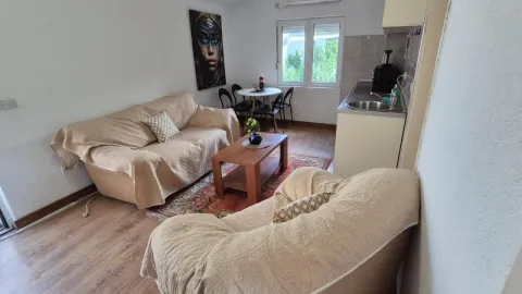 Living room with sofas, coffee table, dining table and a small kitchen in the corner. - image 7
