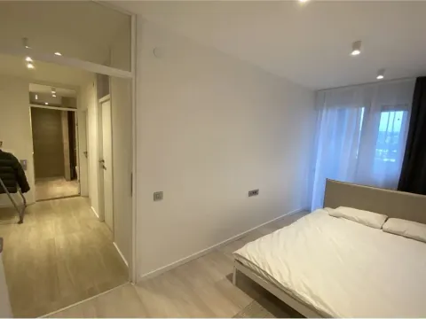 Izdavanje, jednosoban stan, 50m², Niš, Srbija - image 10