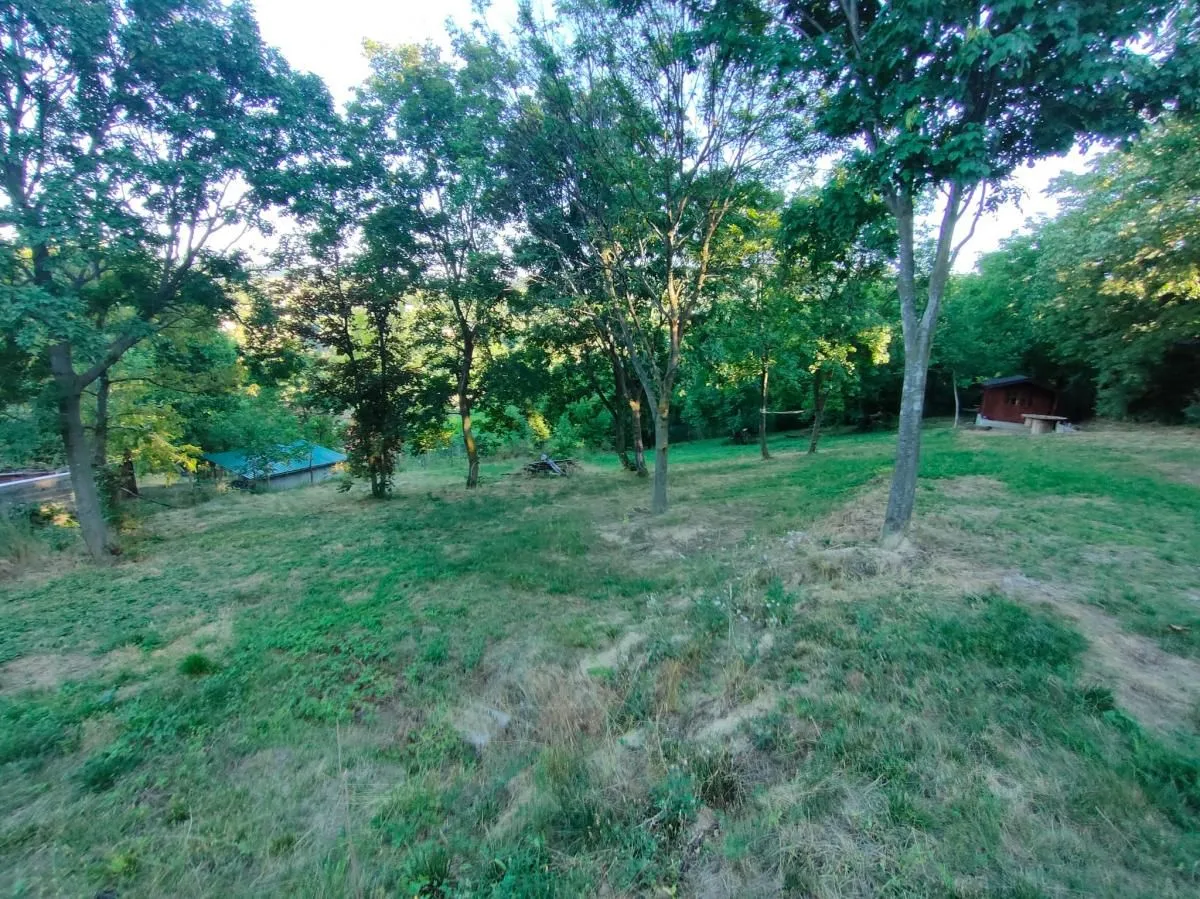 Prodaja, plac, 1900m², Sremska Kamenica, Petrovaradin