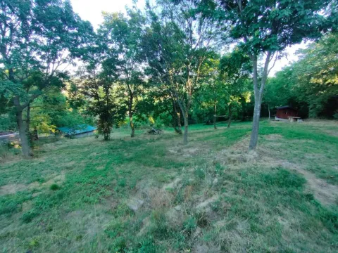 Sale, land lot, 1900m², Sremska Kamenica, Petrovaradin - image 7