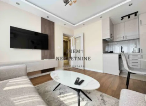 Izdavanje, jednosoban stan, 35m², Preko Morače, Podgorica - image 4