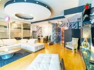 Izdavanje, četvorosoban stan, 131m², Vukov Spomenik, Zvezdara Sve Podlokacije - image 3