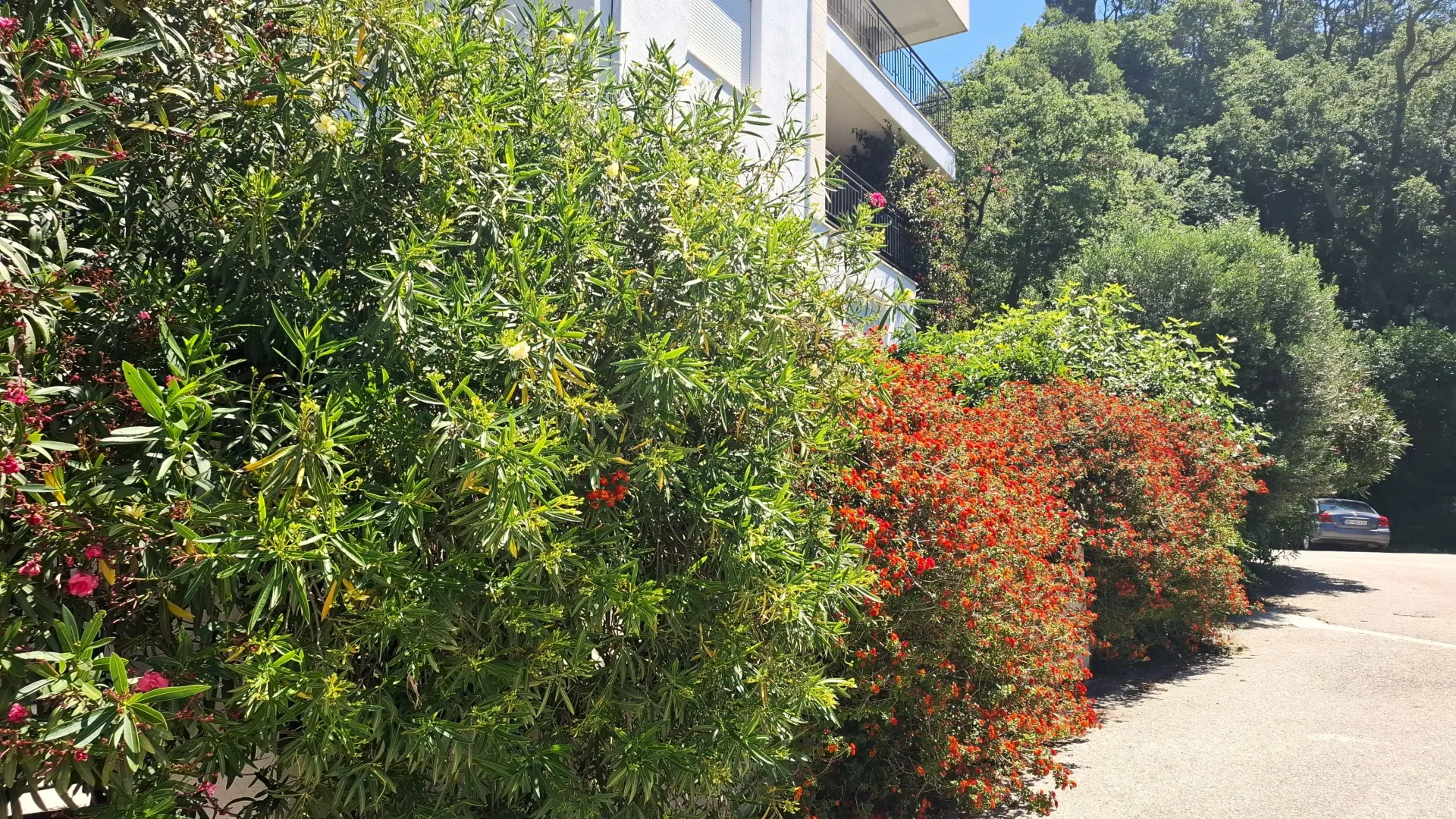 Sale, house, 380m², Perazića do, Budva