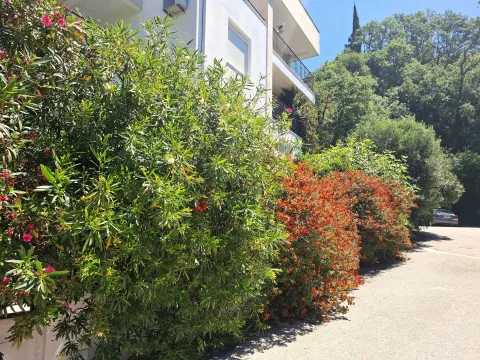 Sale, house, 380m², Perazića do, Budva - image 12