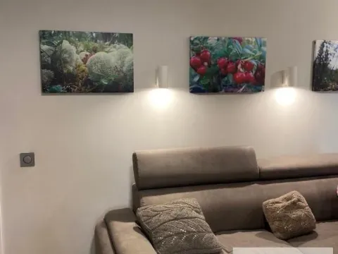 Prodaja, kuća, 600m², Sopot, Beograd - image 3