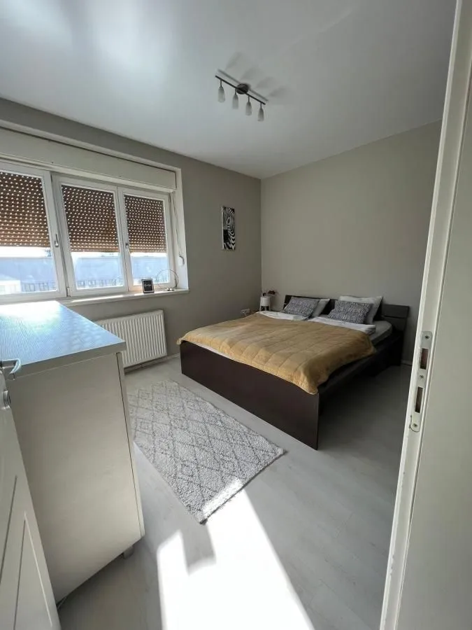 Rent, two bedroom apartment, 49m², Centar, Novi Sad
