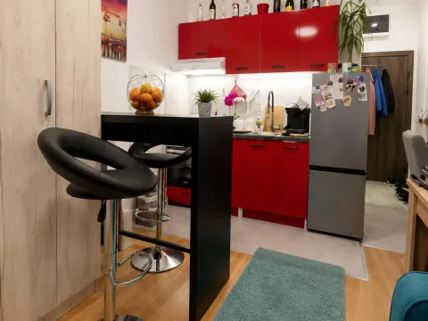 Prodaja, garsonjera, 26m², Zabjelo, Podgorica - image 5