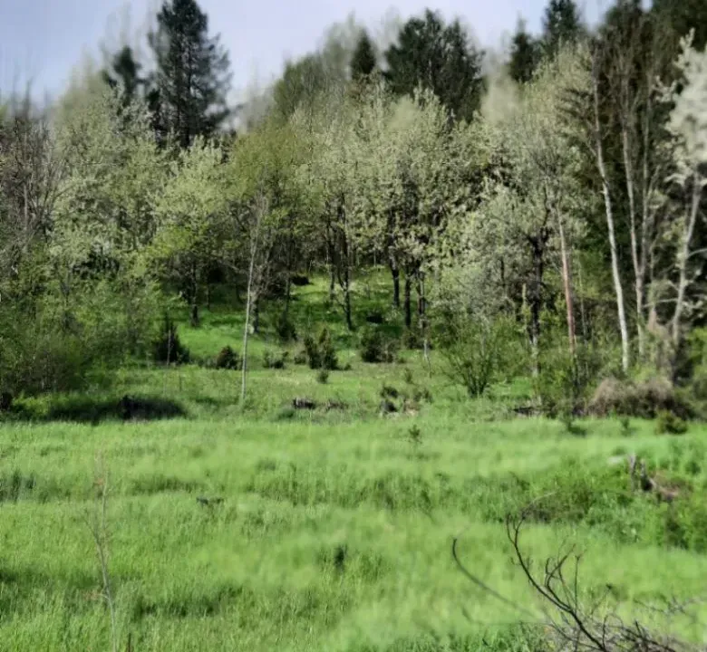 Prodaja, plac, 1416m², Selišta, Kolašin