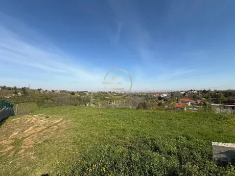 Prodaja, plac, 22000m², Sremska Kamenica, Petrovaradin - image 3