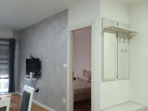 Izdavanje, jednosoban stan, 45m², Central Point, Podgorica - image 13