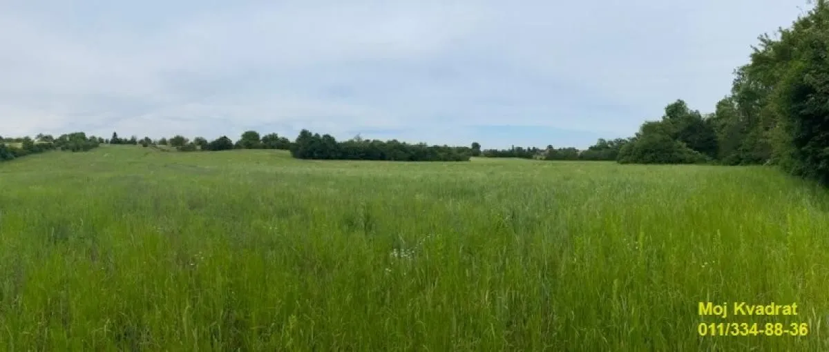Prodaja, plac, 9500m², Koraćica, Mladenovac